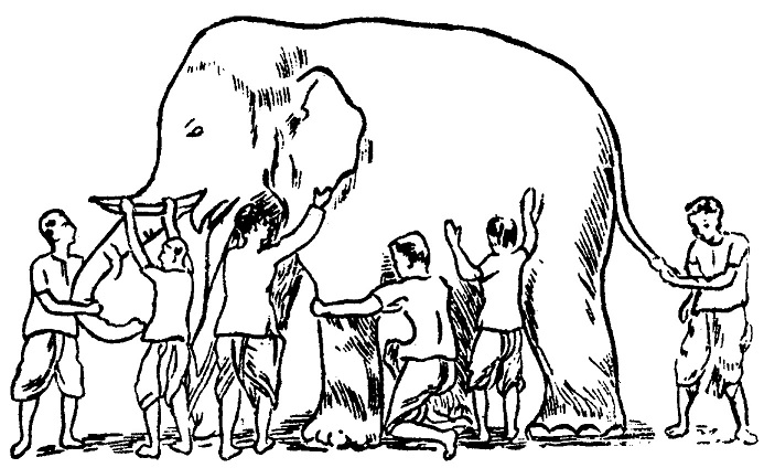The blind men and the elephant